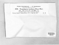 Image Associated With the Occurence